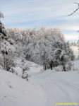 Зима в Крыму