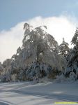 Зима в Крыму