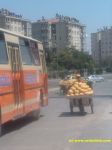 доставка фруктов