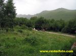 IMG 9564