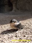 IMG 9831