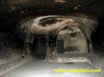 IMG 9841