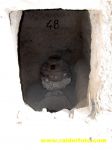 IMG 9844