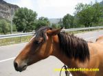 IMG 9859