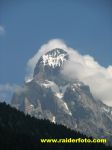IMG 9881