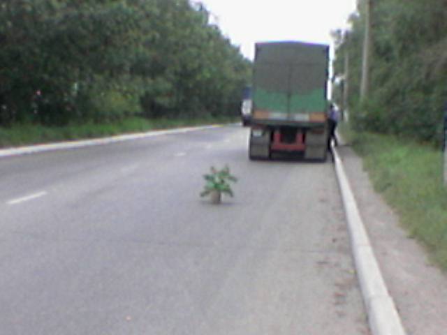 Осенняя Украинская Эльба 3-5 сентября 2004