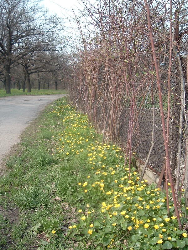 Весенняя Украинская Эльба 2006 г.